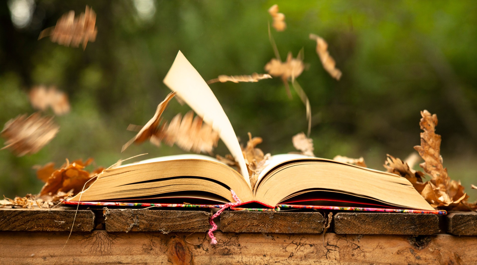 - Suzanne Wickham, senior director of publicity, HarperOne, HarperCollins